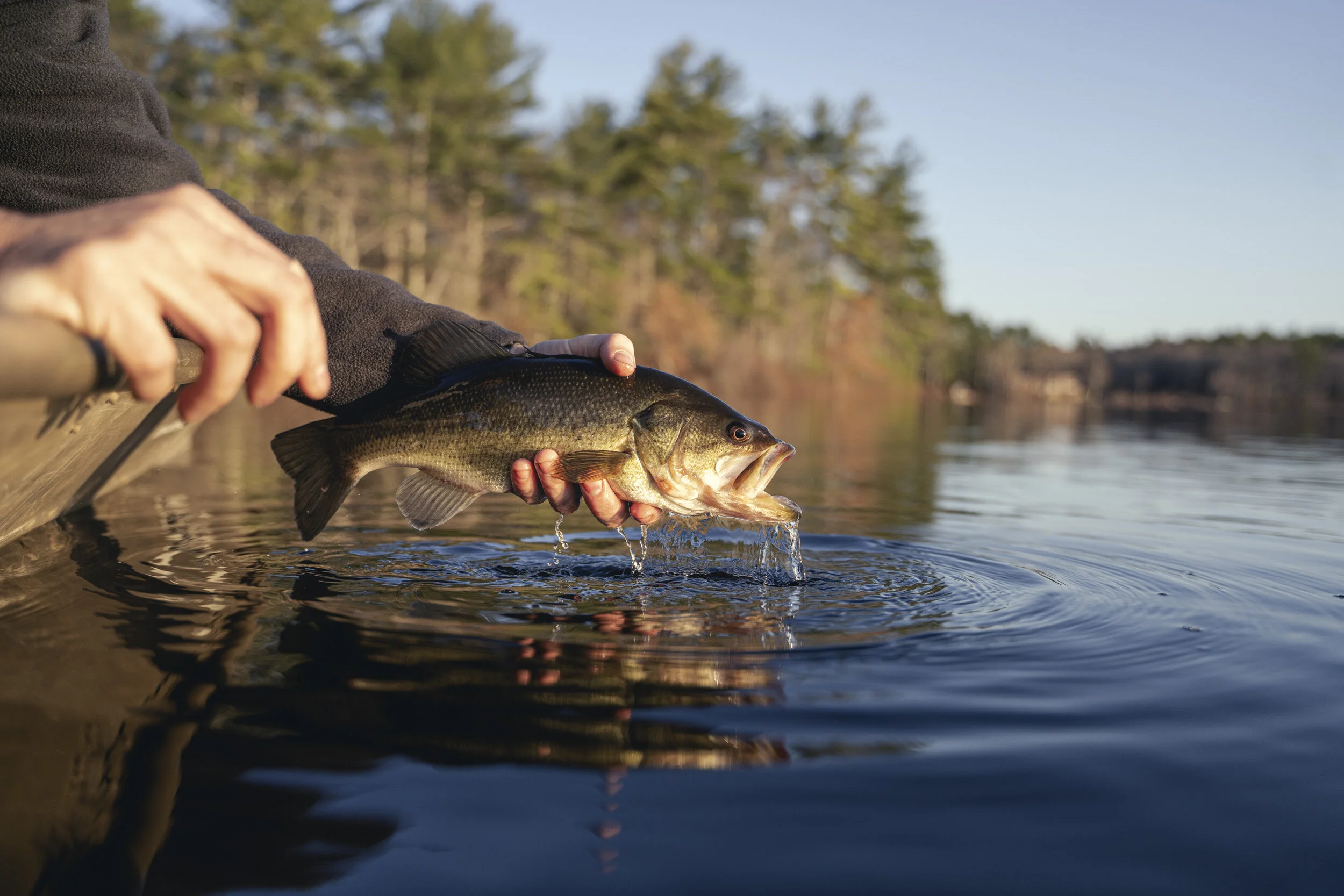 2021 Bass Fishing2.JPG
