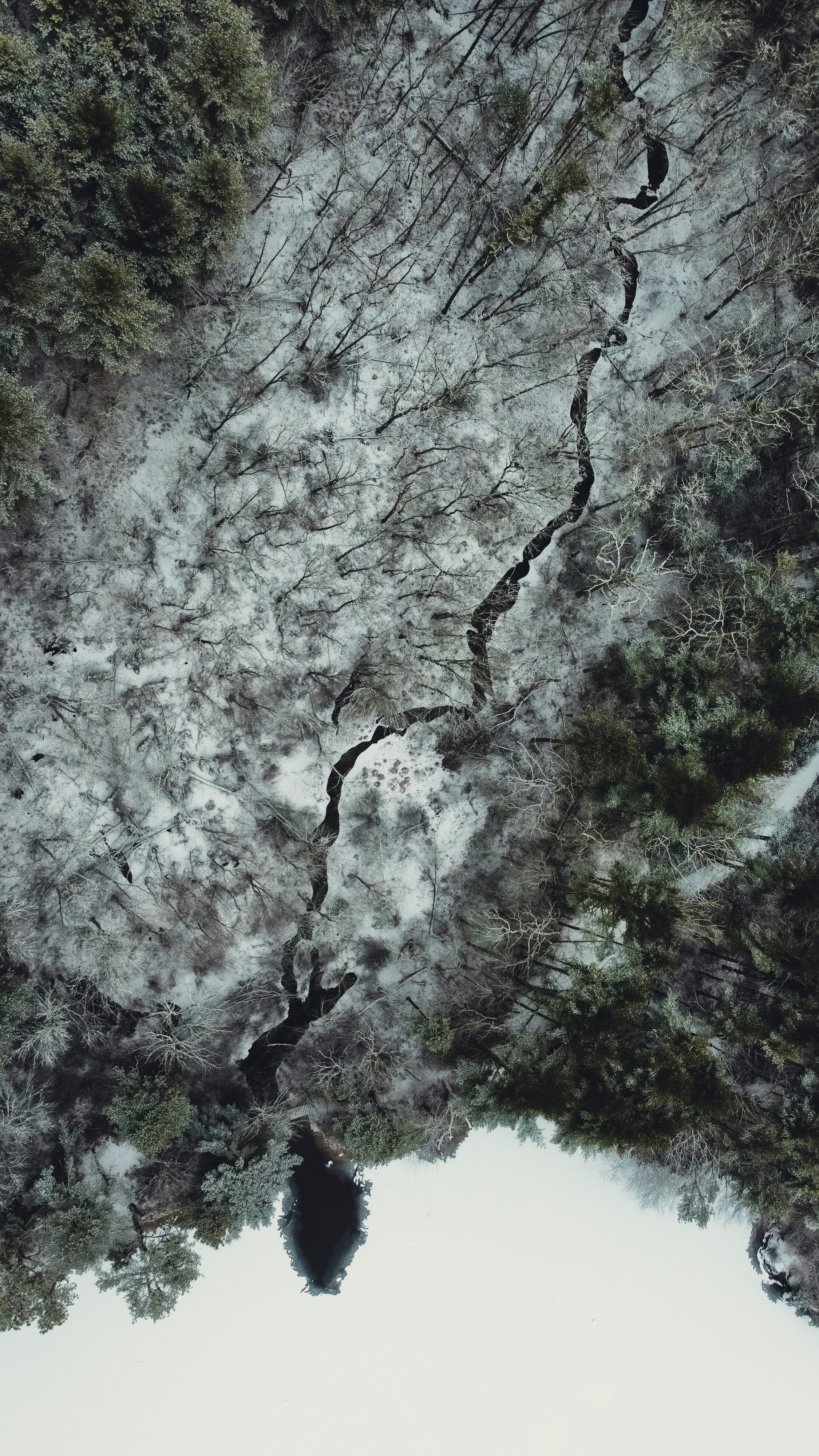 RemoteMediaFile_6553781_0_2022_01_25_08_27_22.jpg