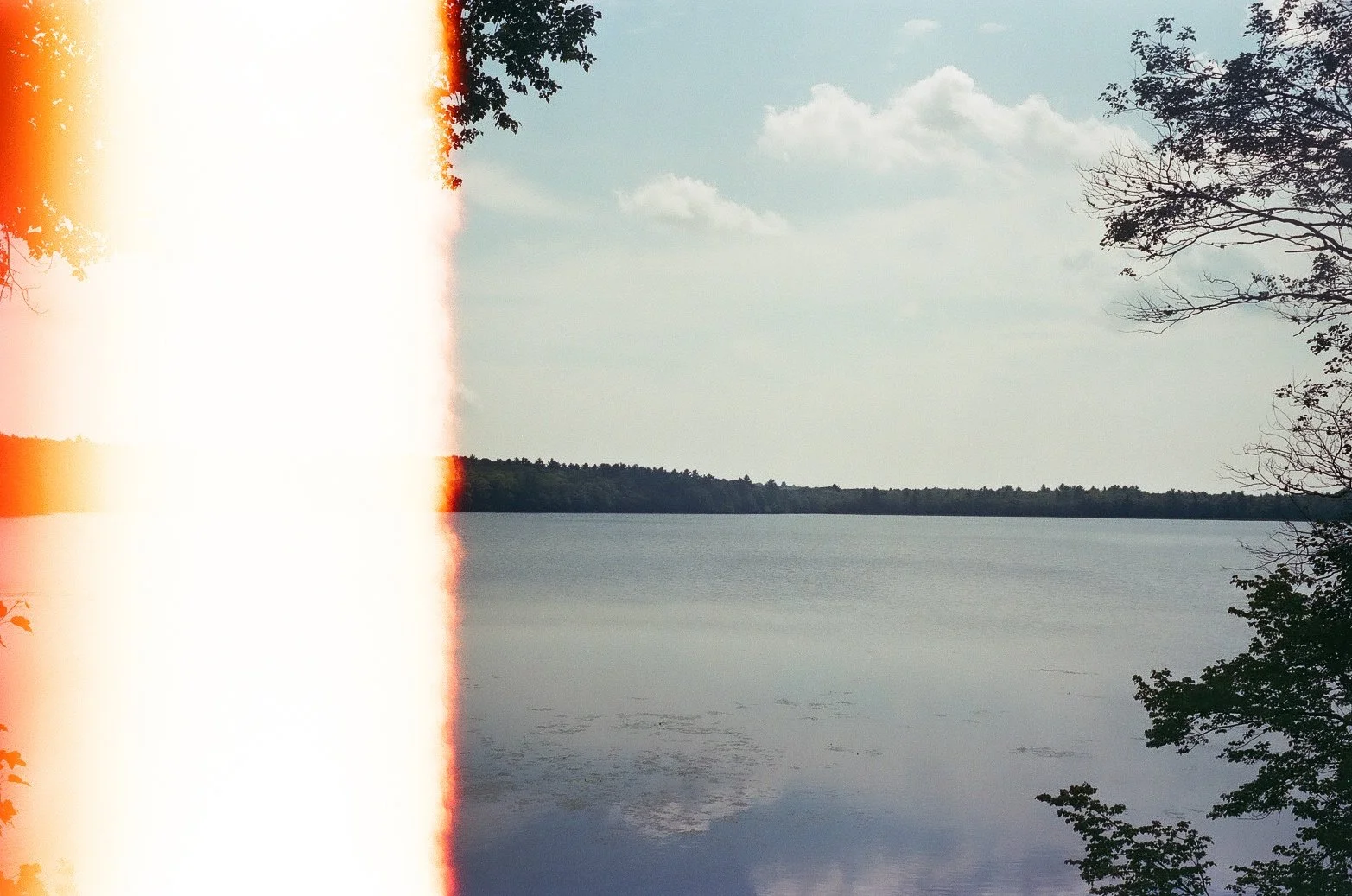 198008030001.jpg
