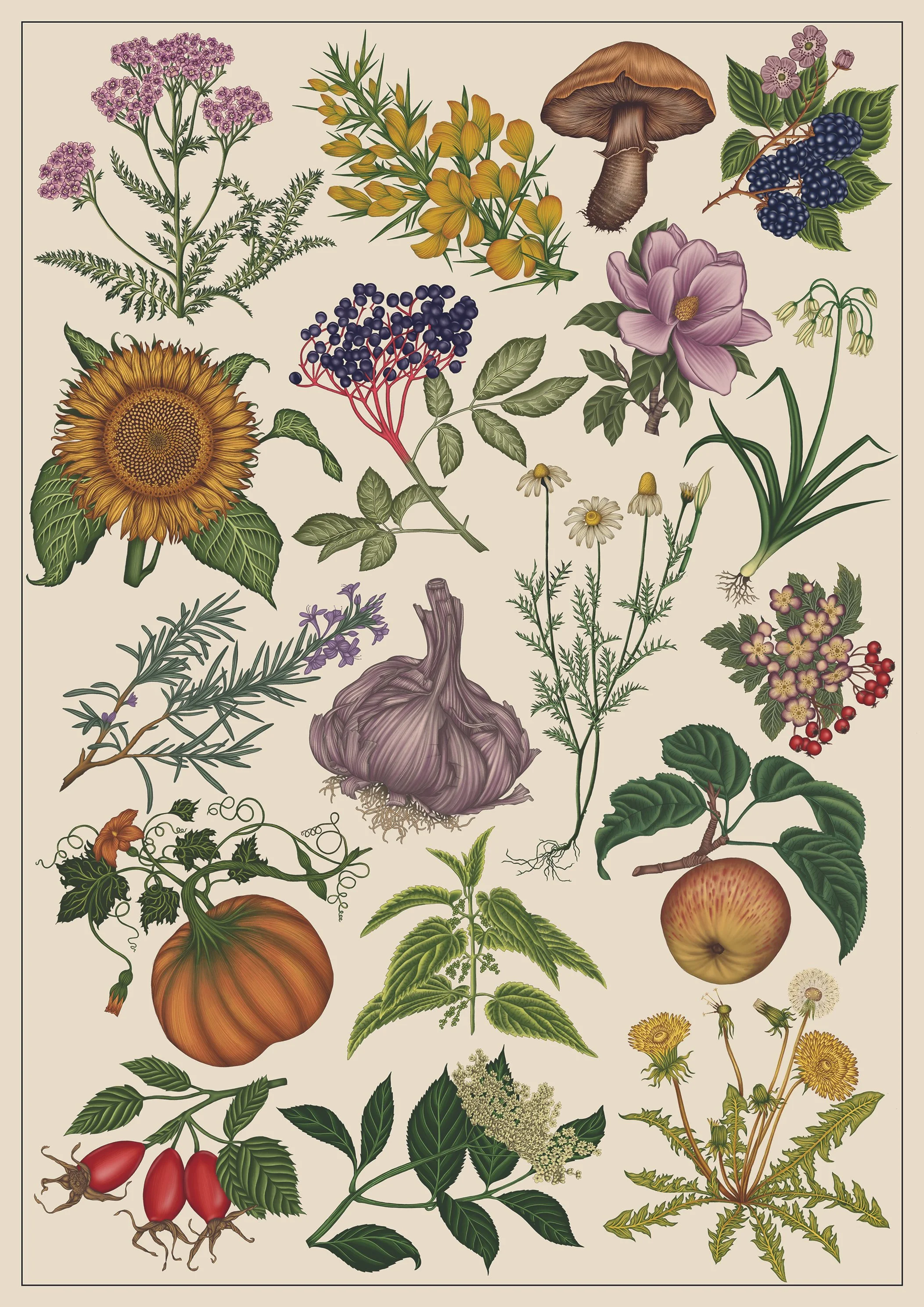 Botanical Print.jpg