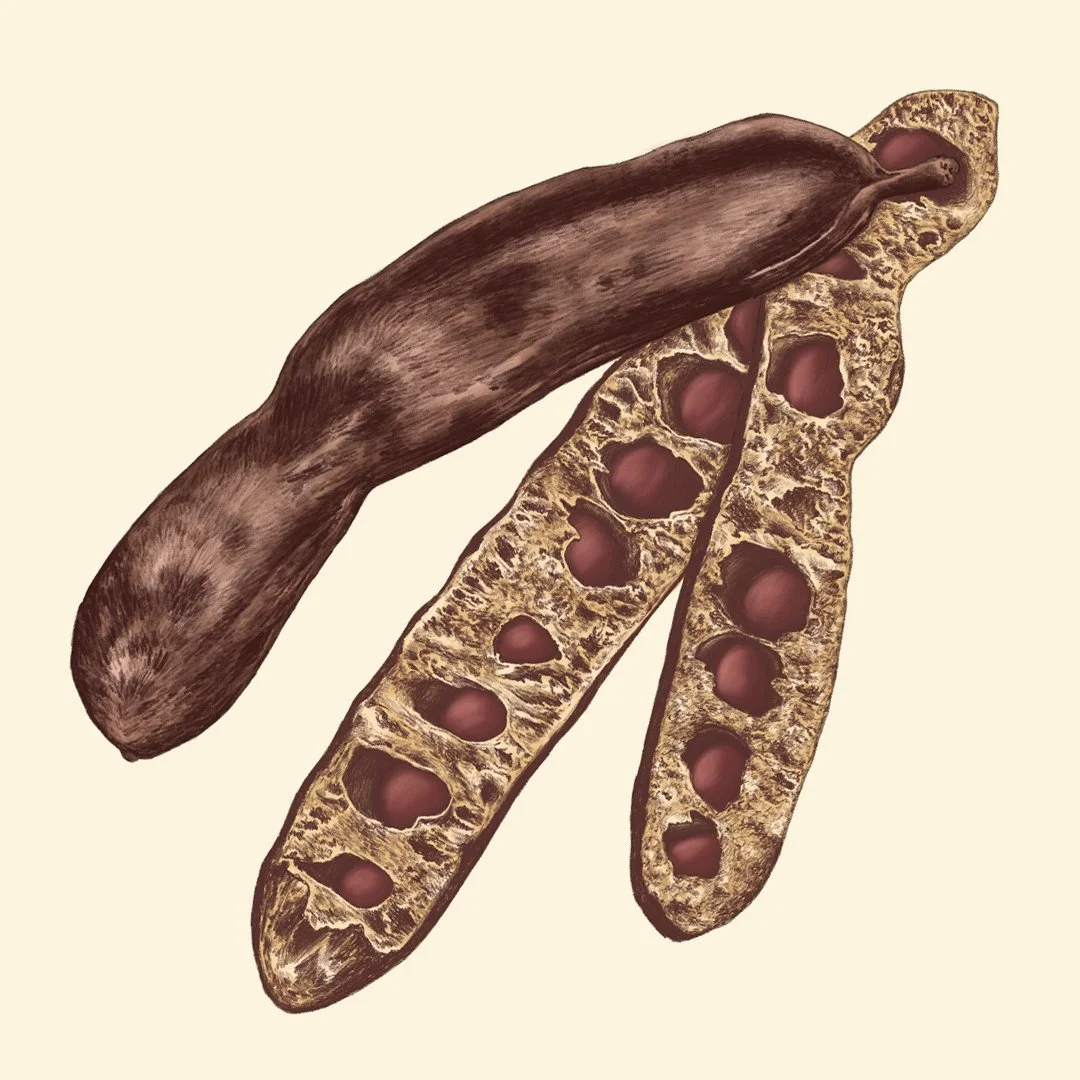 carob.jpg