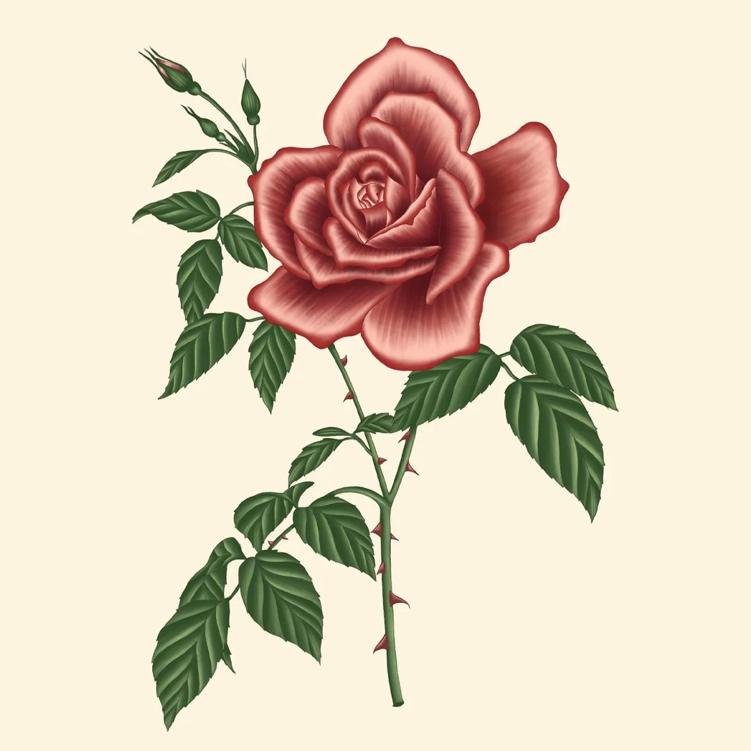 rose square.jpg