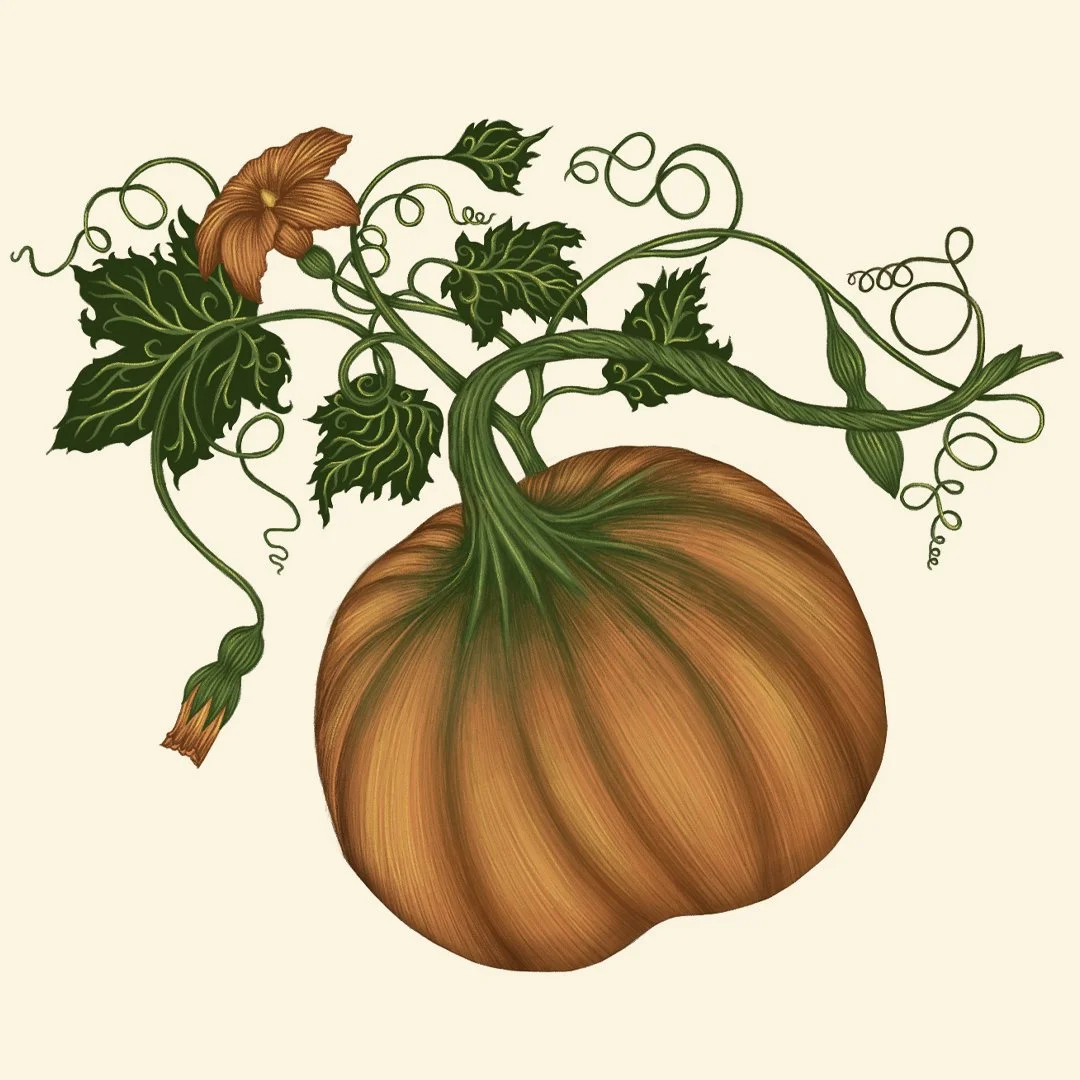 pumkin ig.jpg