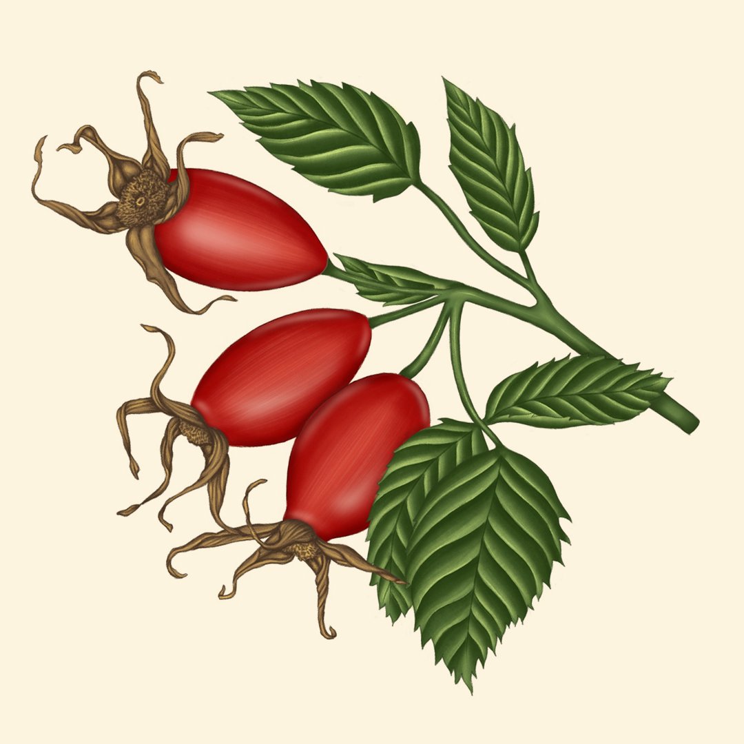 square berry.jpg