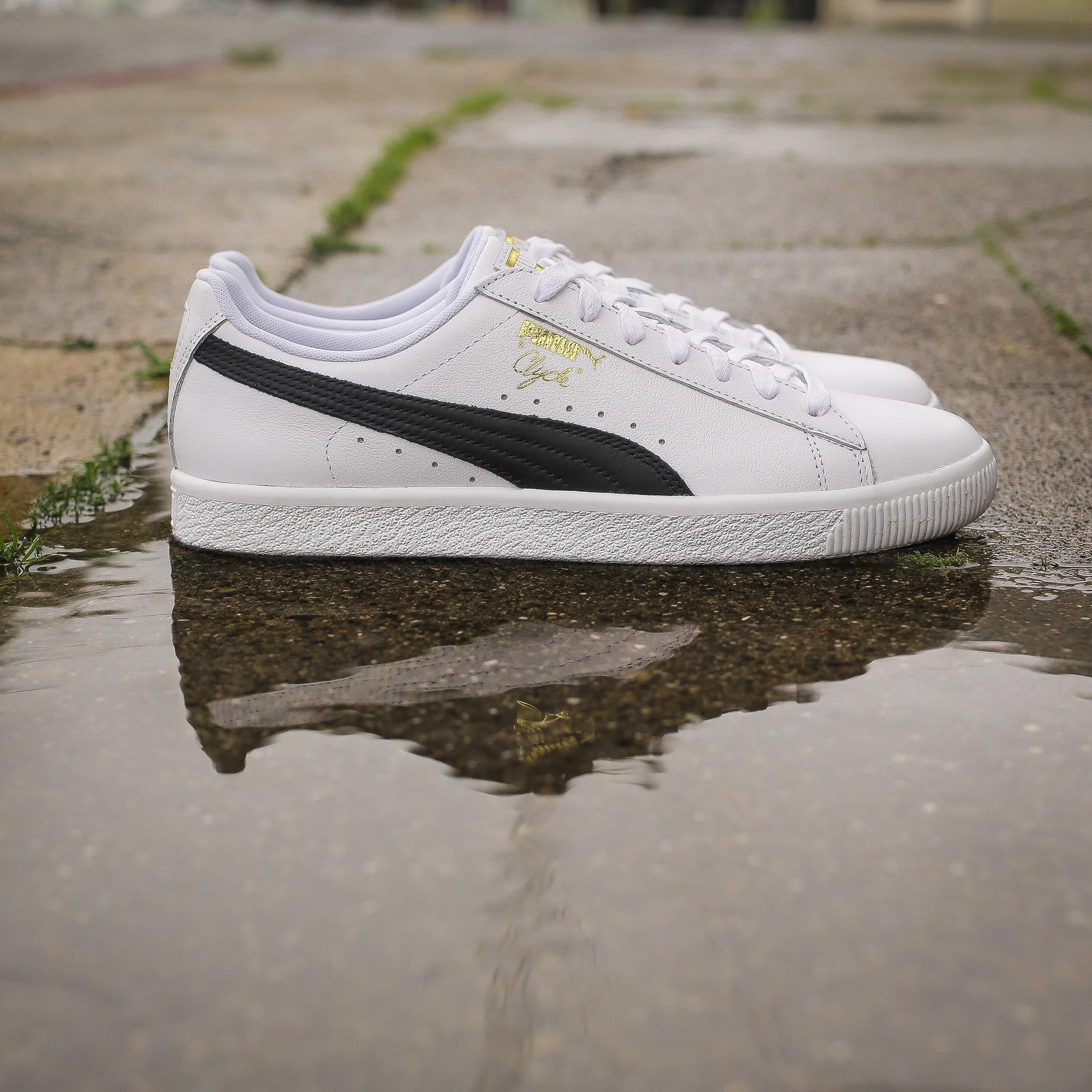 TH3A8291-Edit.jpg