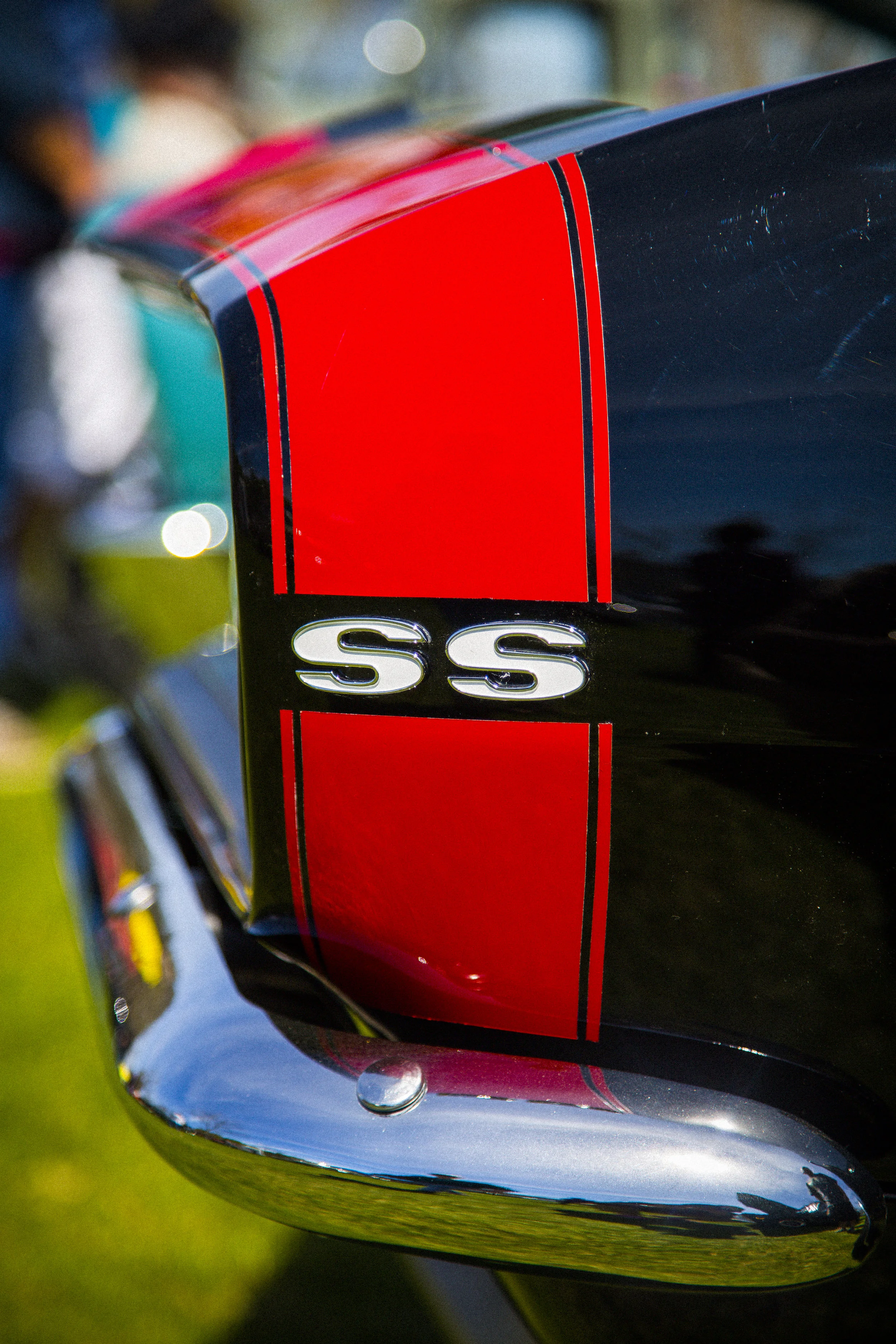 TH3A6293.jpg