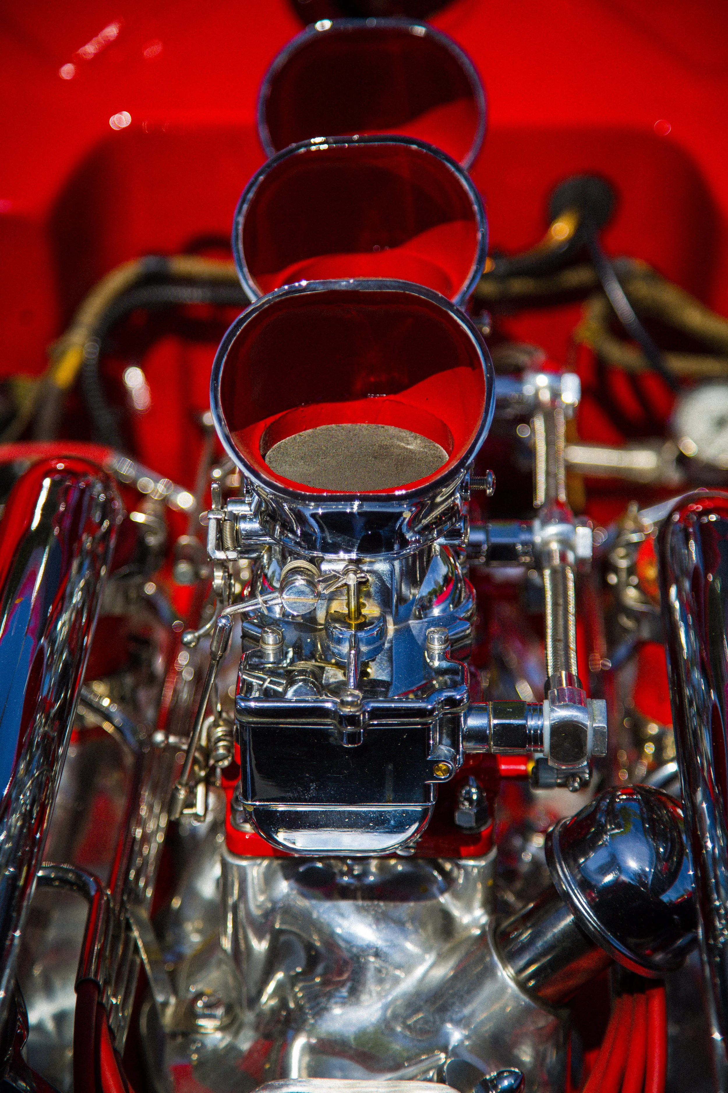 TH3A6331.jpg