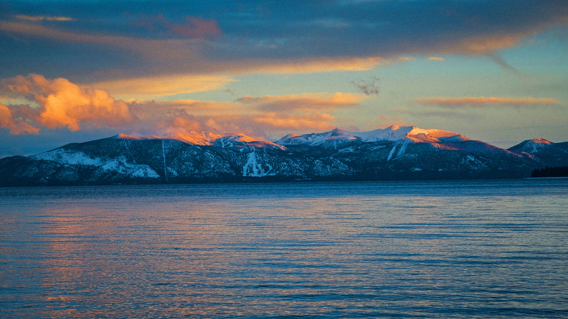 WALLPAPER.jpg