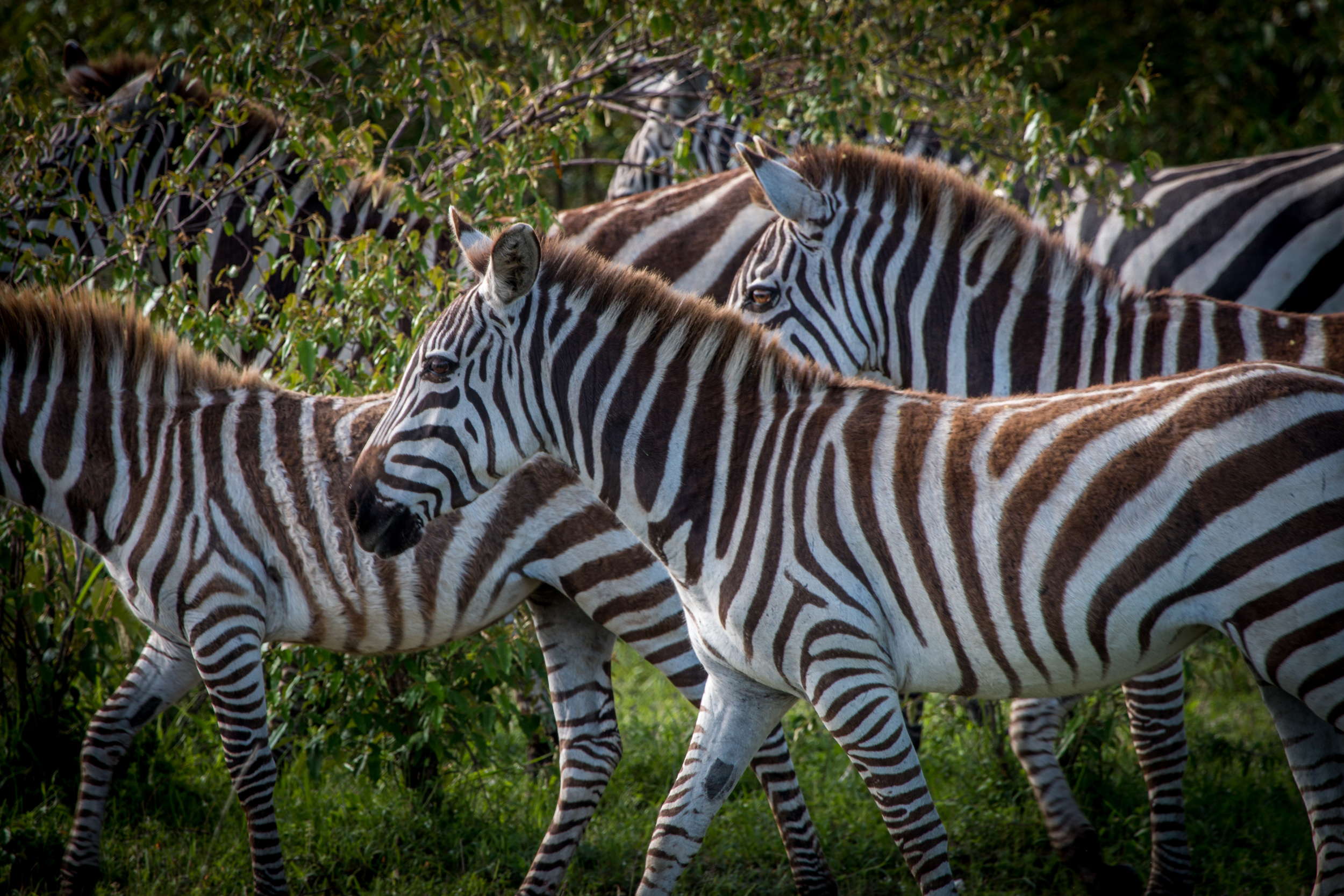 file_5472x3648_001394.jpg