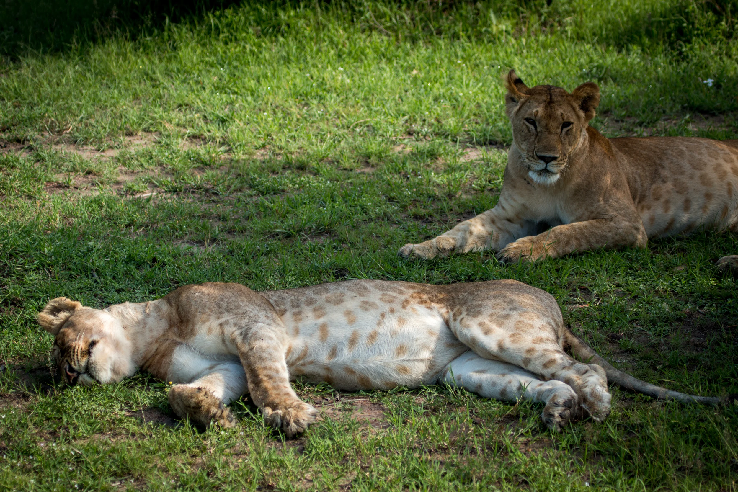 file_5472x3648_001412.jpg