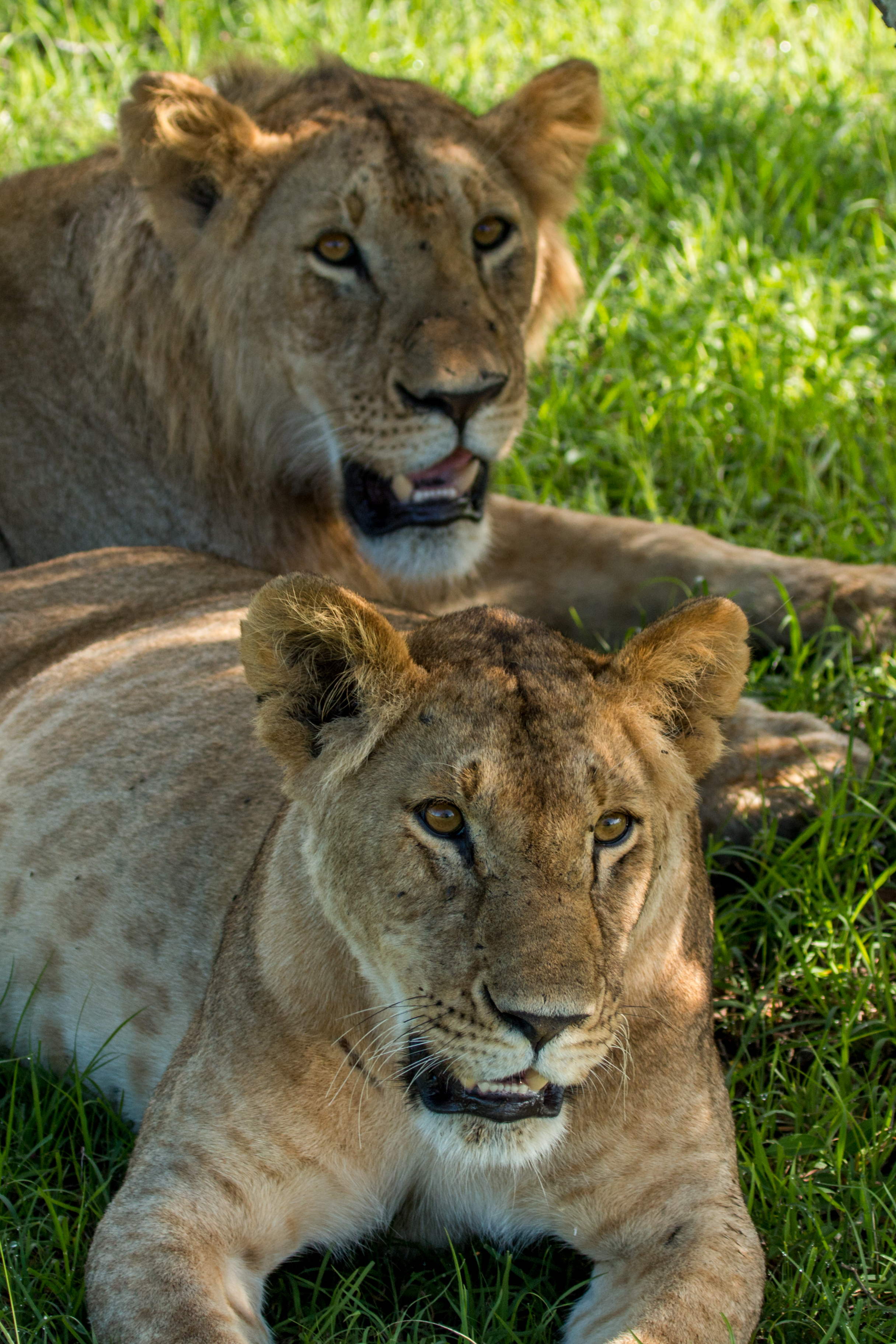 file_5472x3648_001474.jpg