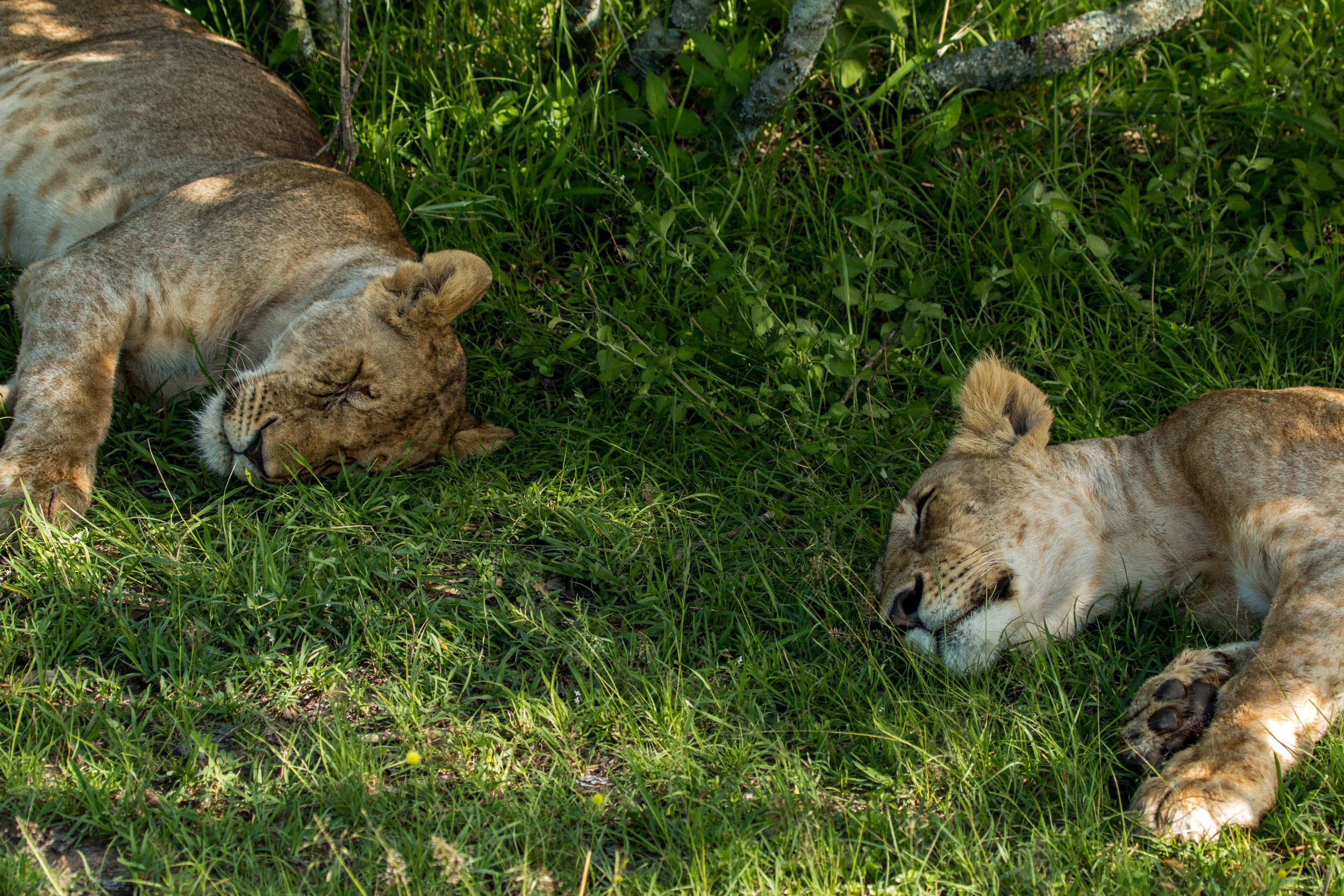 file_5472x3648_001491.jpg