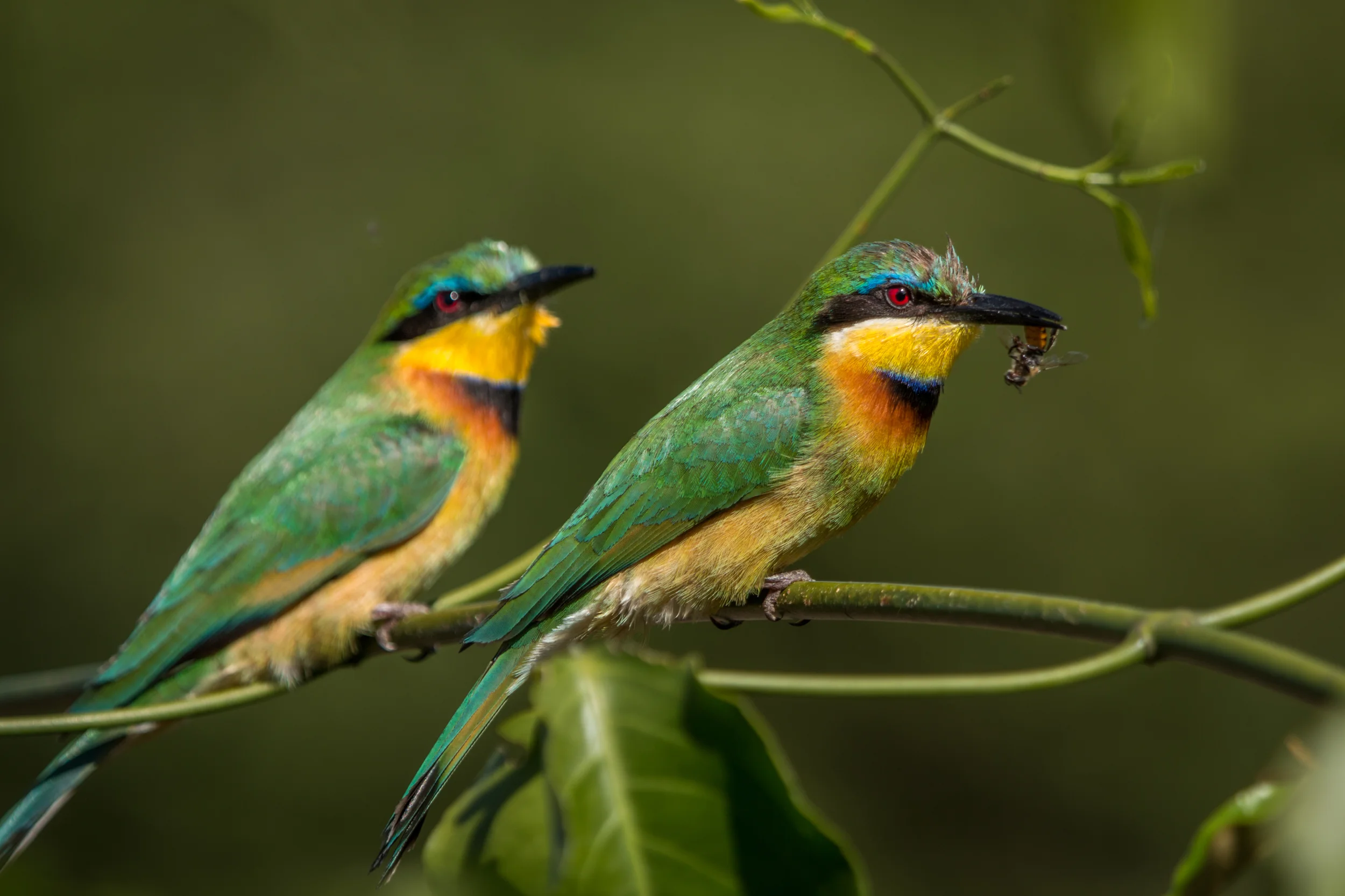 file_5472x3648_001785.jpg