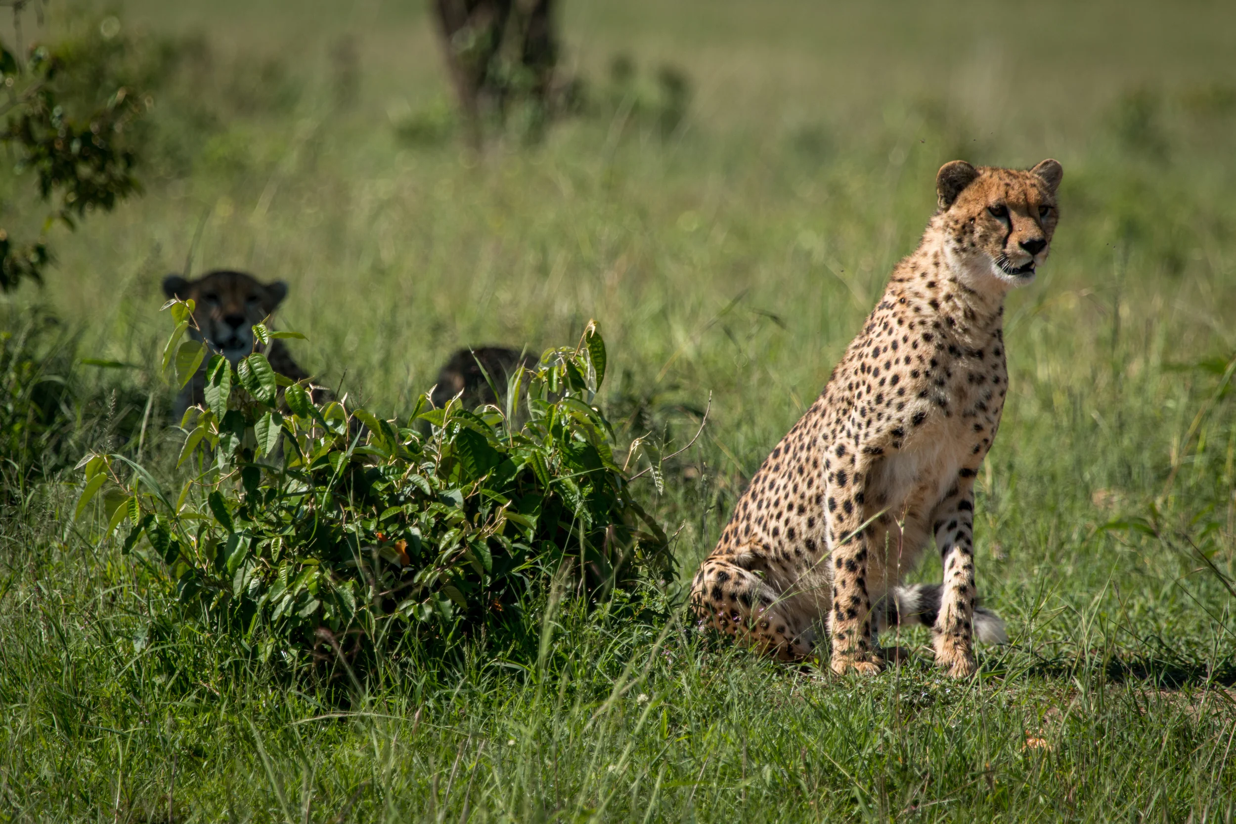 file_5472x3648_002476.jpg