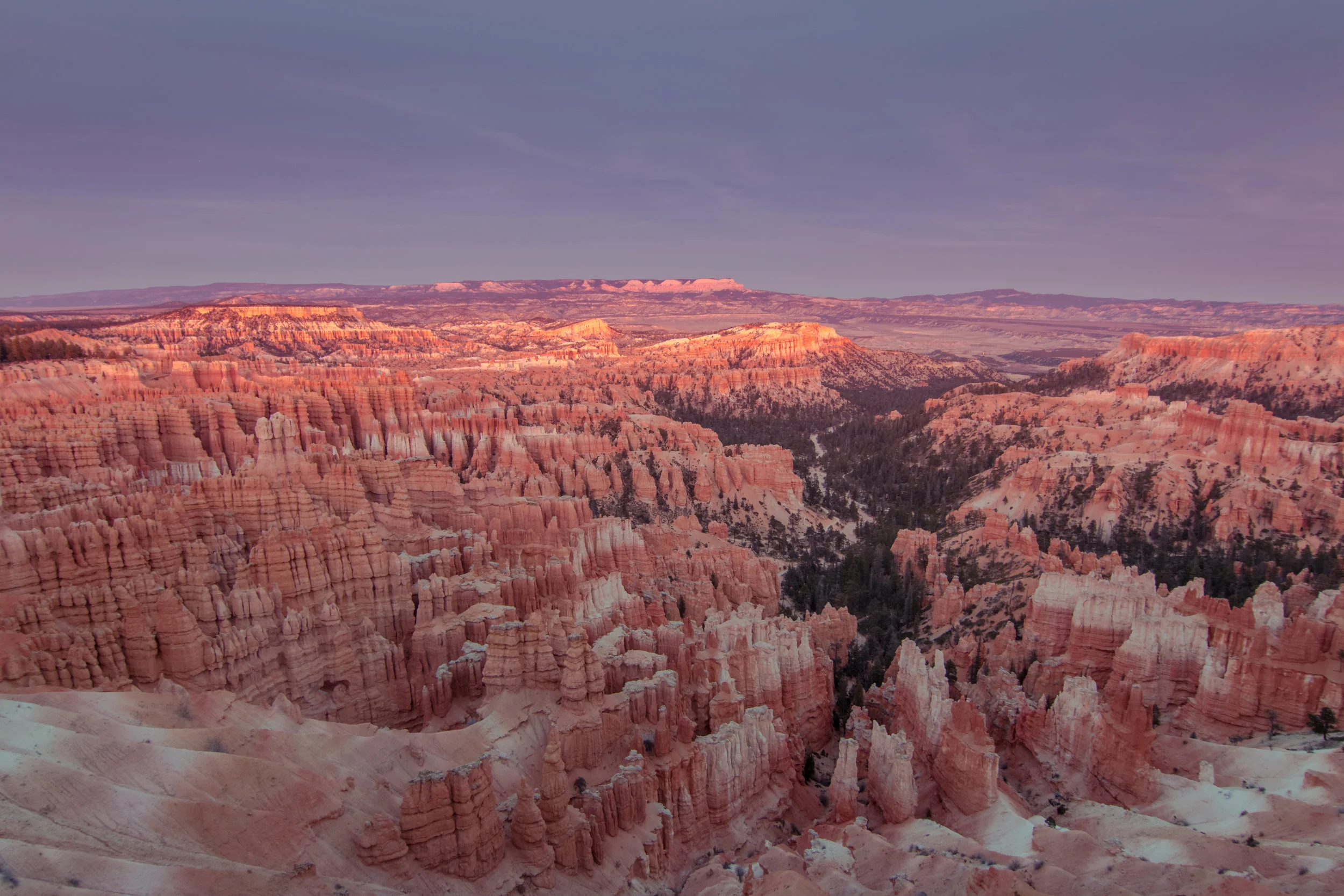 IMG_0659-HDR.jpg
