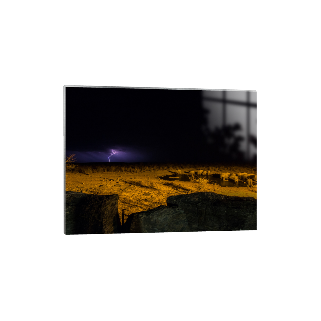 ptq_13_5_304_0_4864_3648_0_false_ffffff_0_0_.png