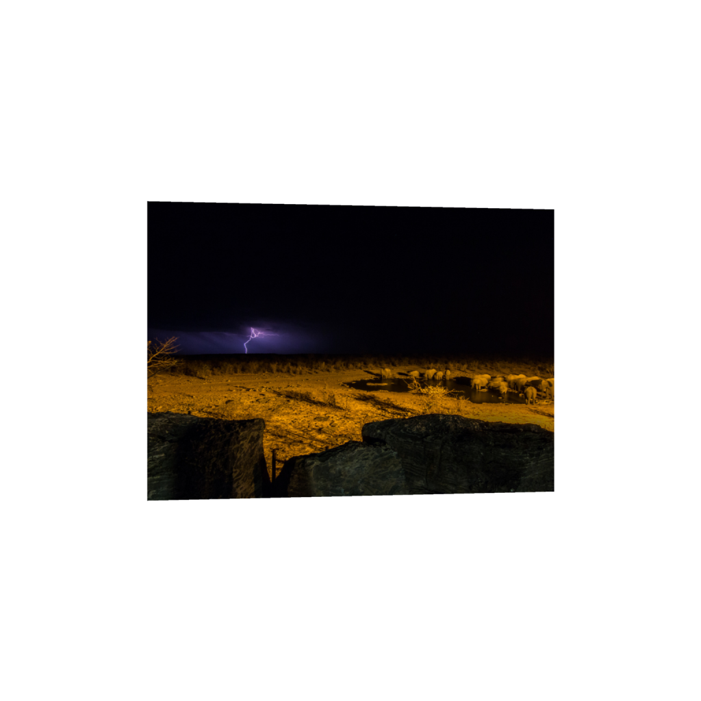 ptq_1_7_182_0_5107_3648_0_false_ffffff_0_0_.png