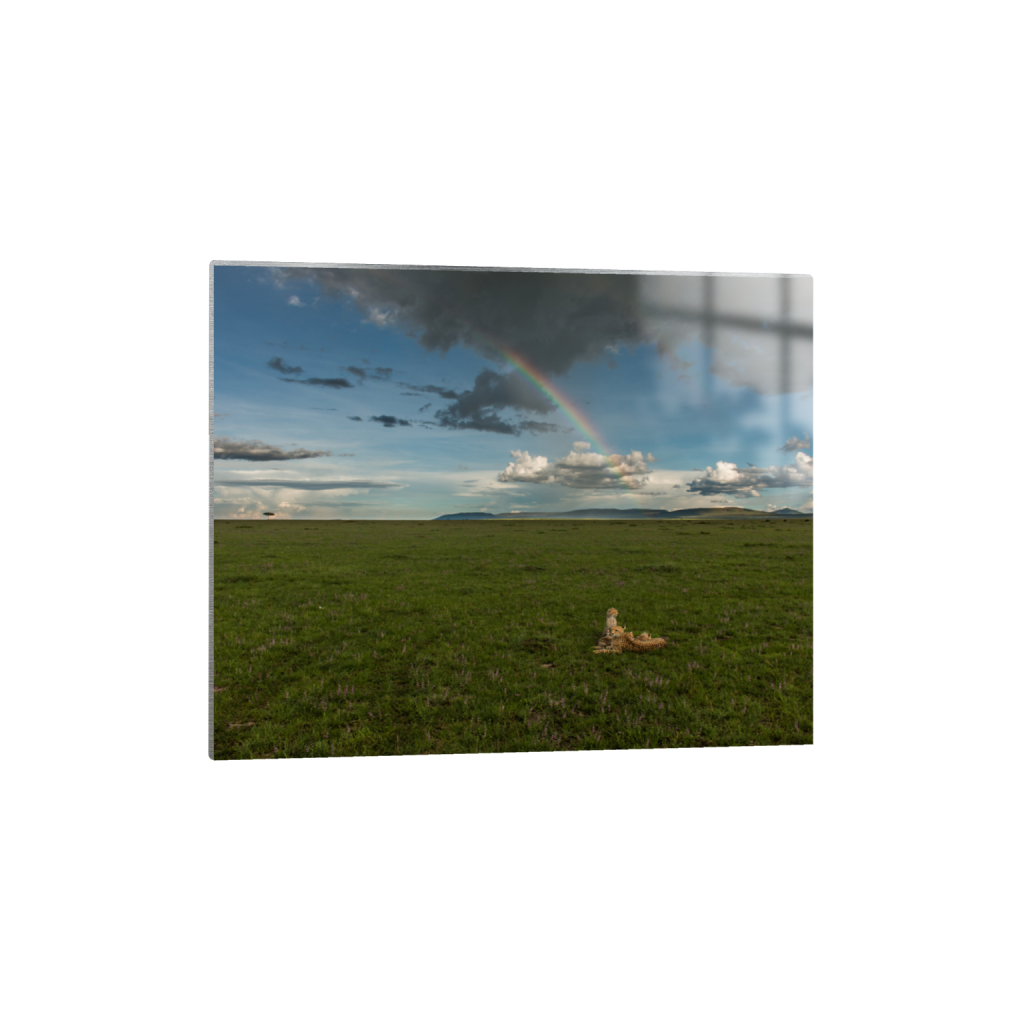 ptq_13_6_208_0_2083_1667_0_false_ffffff_0_0_.png
