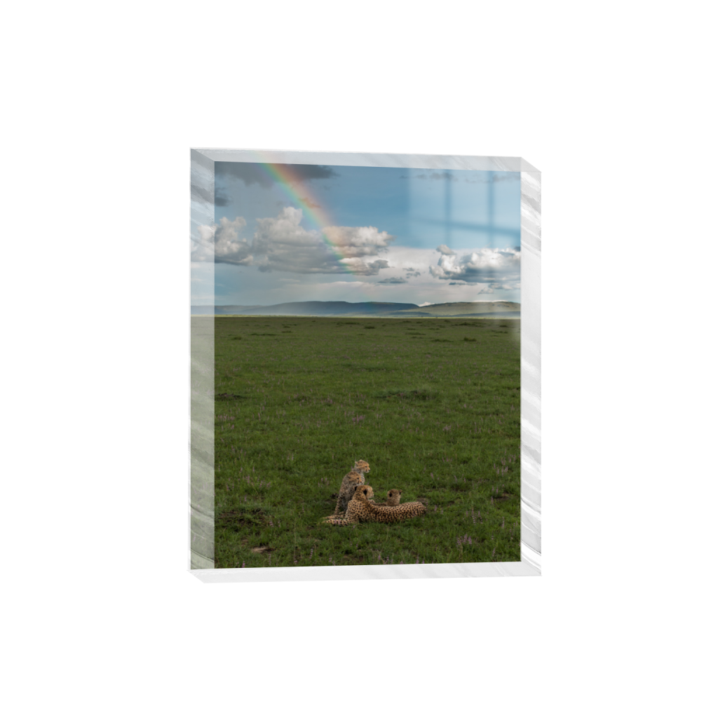 ptq_300_6_0_187_1500_1875_0_false_ffffff_0_0_.png