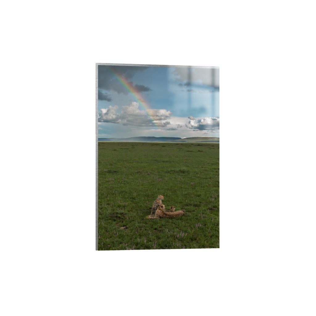 ptq_13_3_0_0_1500_2250_0_false_ffffff_0_0_.png
