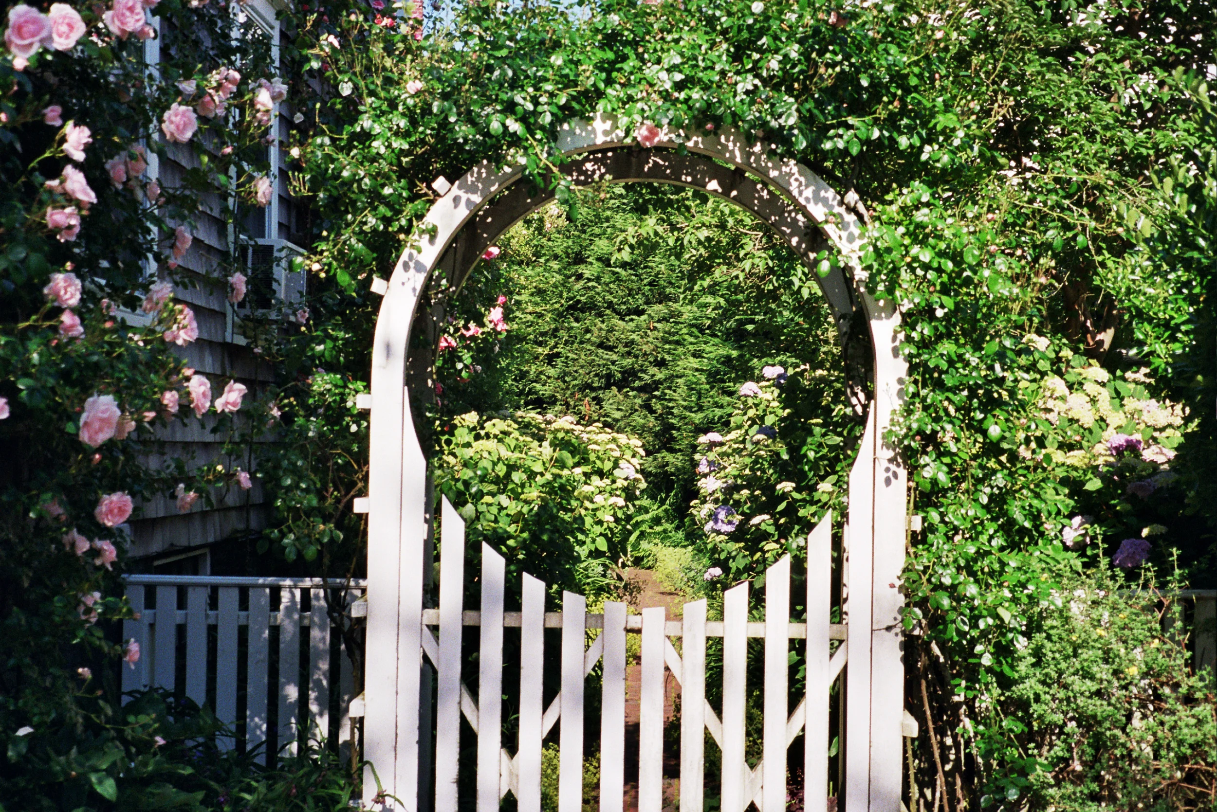 _11_0041.jpg