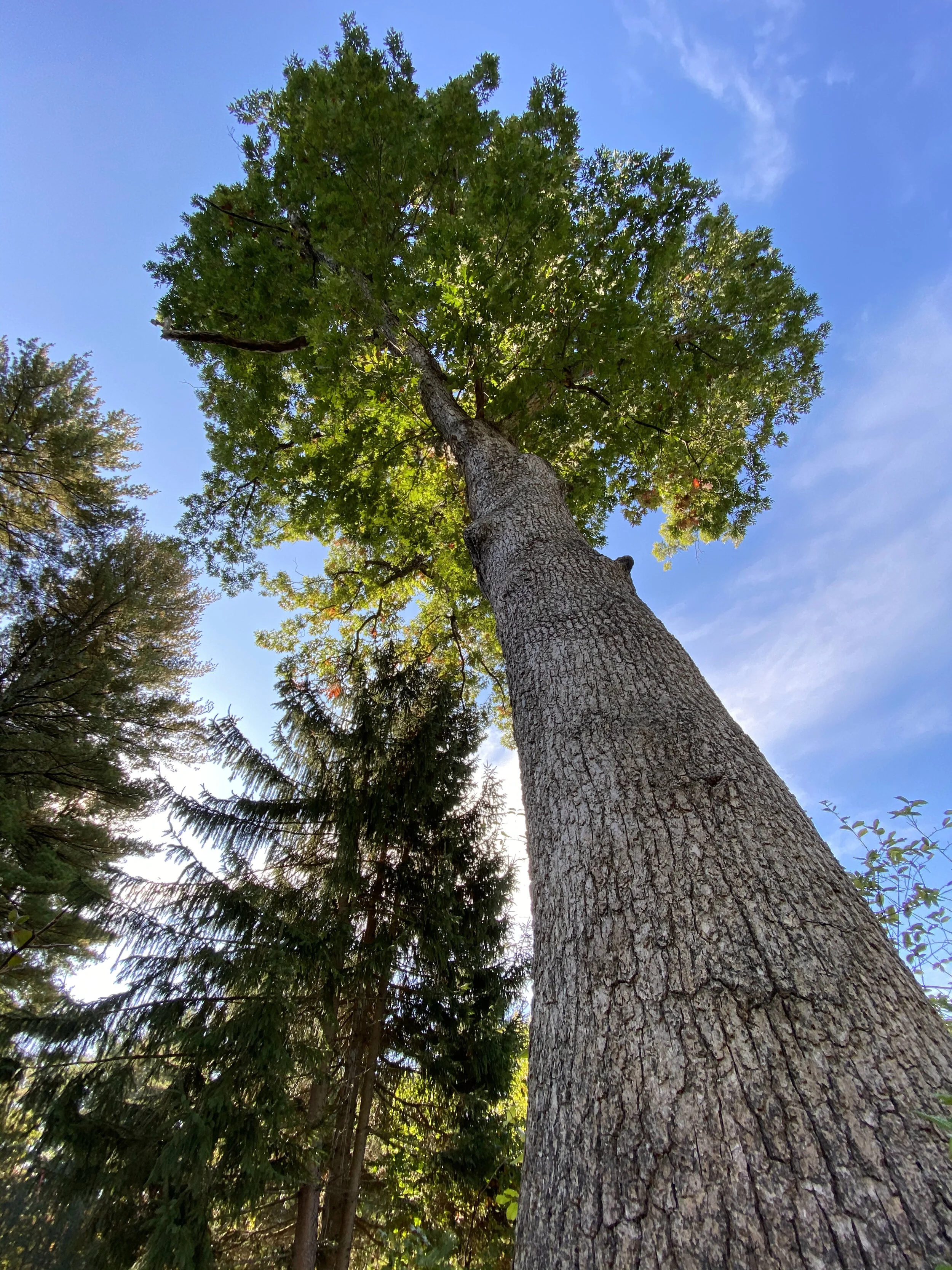 Building a House That Gives More Than It Takes