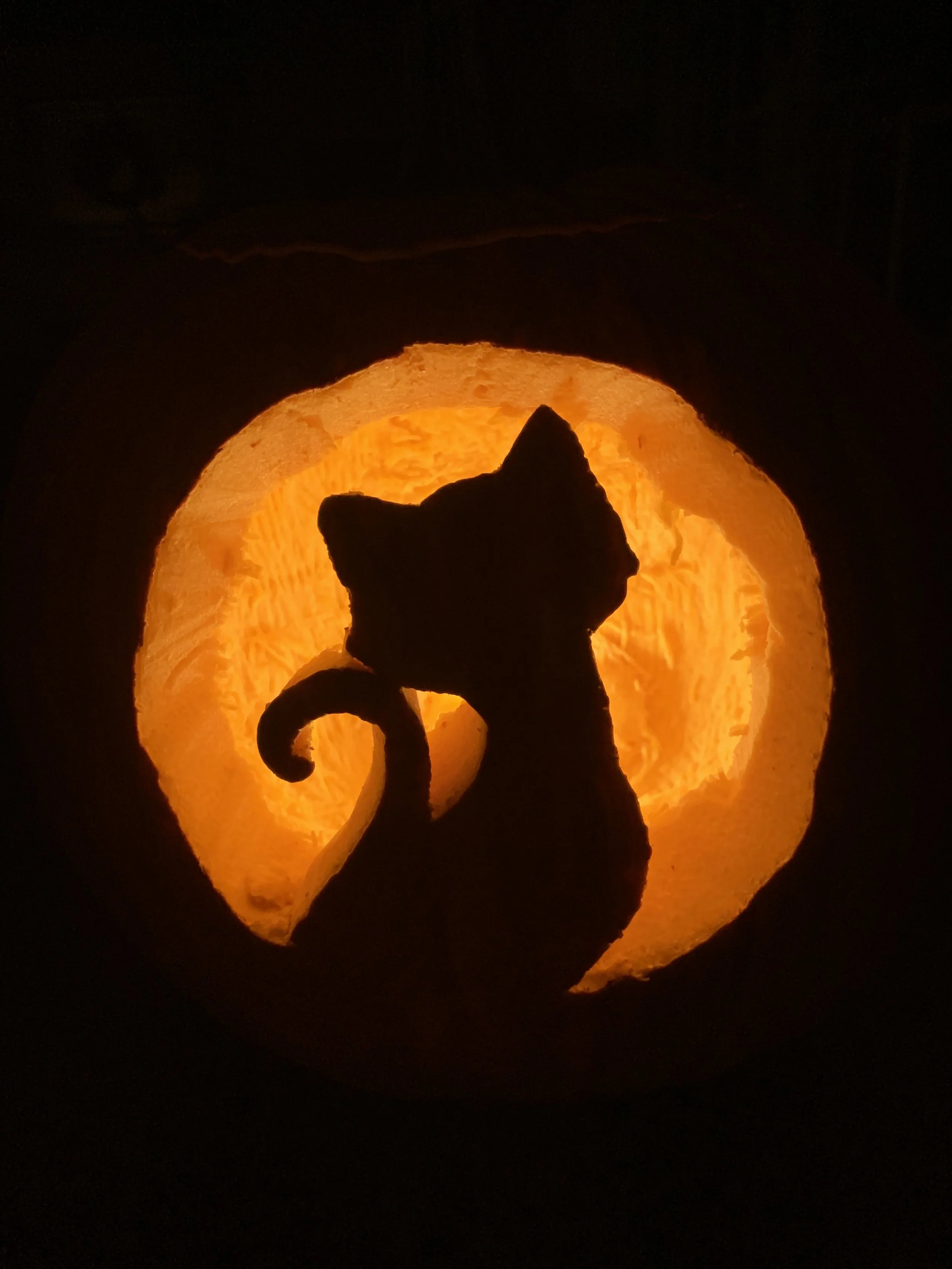 Traditional 2 — WINNER!