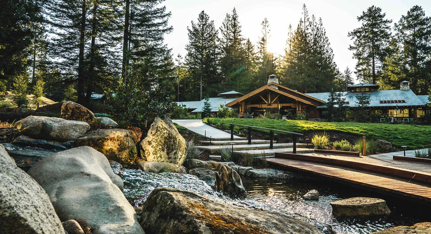 What Tailwinds Are Propelling You This Year?