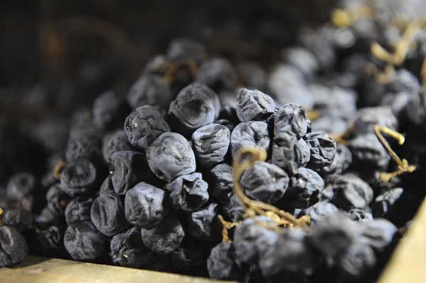 amarone2.jpg
