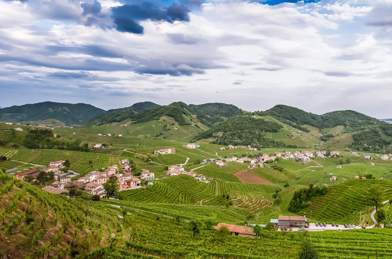 amarone4.jpg