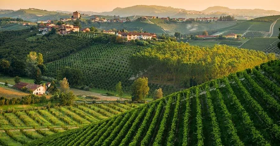 azienda-agricola-bruna-grimaldi-1.jpeg