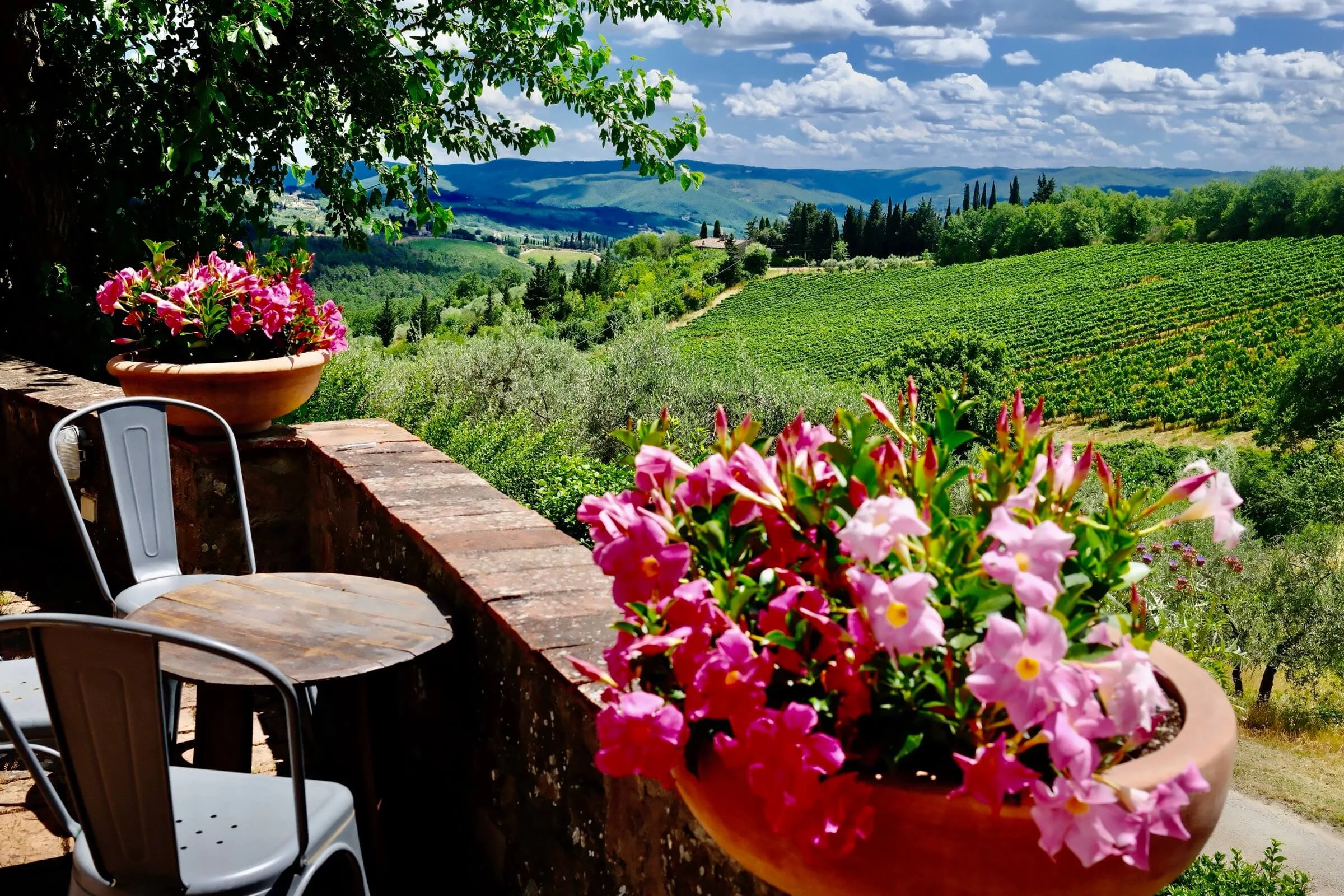 13/2 kl 17 Vinprovning Toscana – nya trender & gamla viner