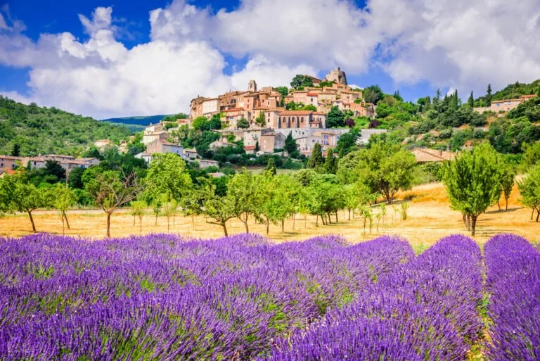 France summer.jpeg