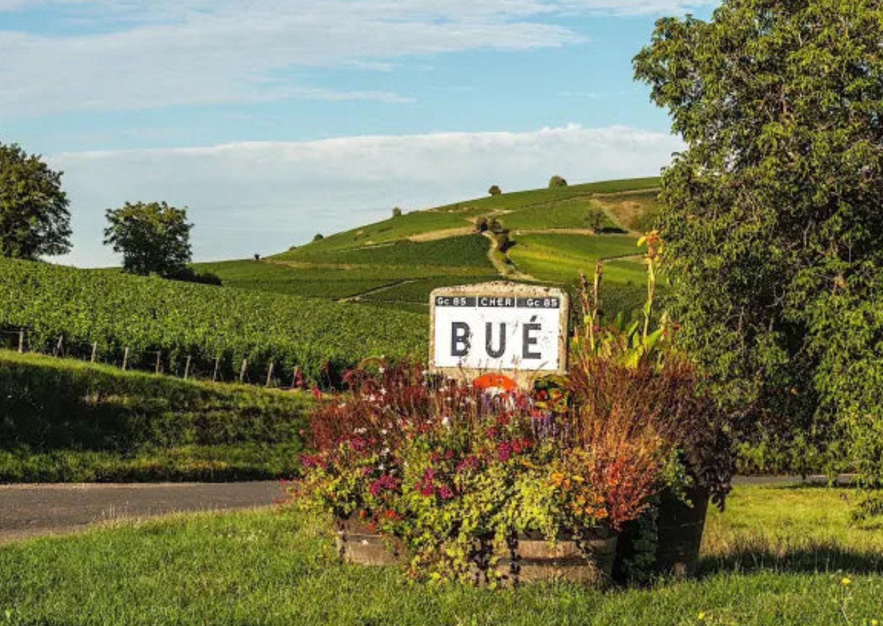 3/12 kl 19 Vinprovning – "Klassiska viner – med fest i fokus"