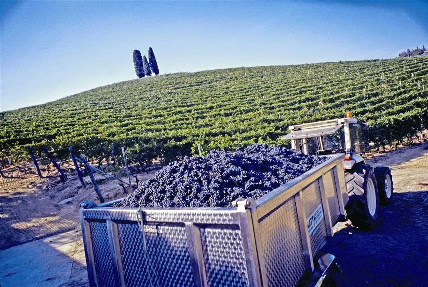 barbera_truckload_HR.jpeg