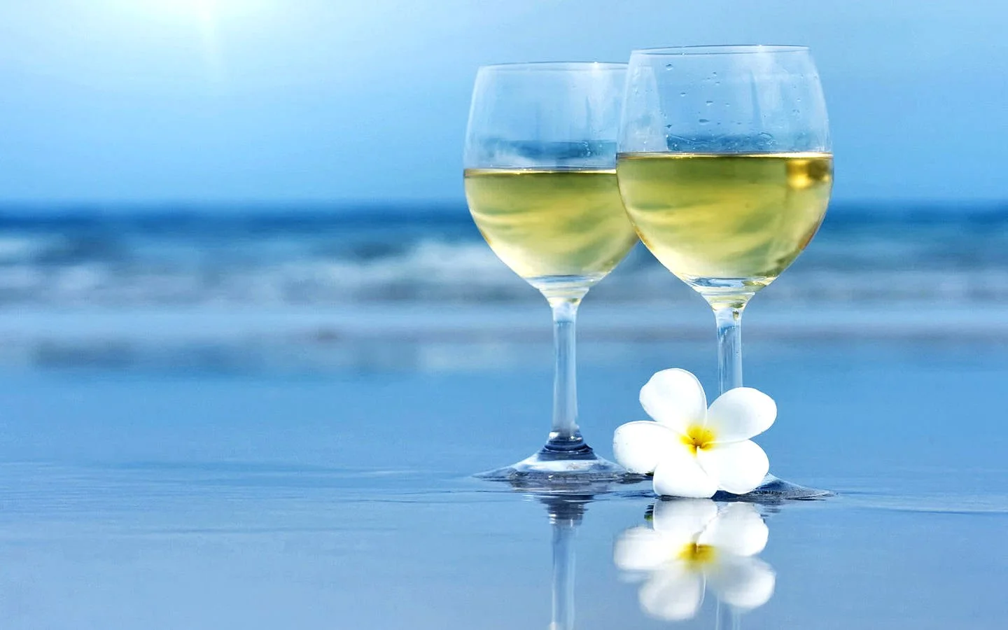 summer white-wine 2.jpg