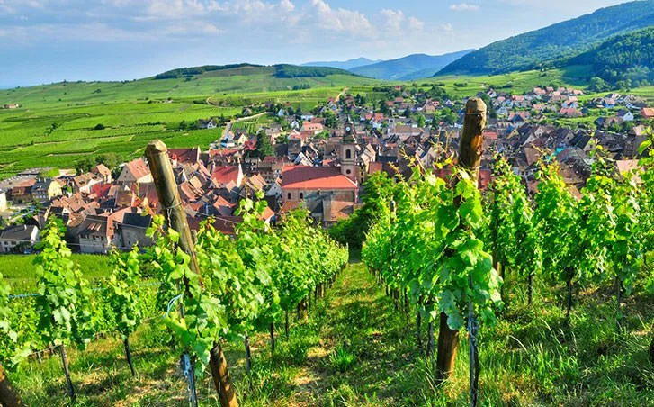 17/2 kl 19 Champagneprovning "Champagneskolan"