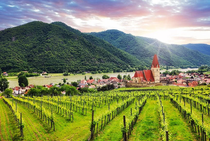 Austria-vineyard.jpg
