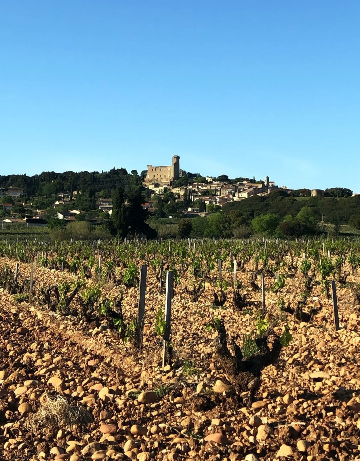 chateauneuf.jpg
