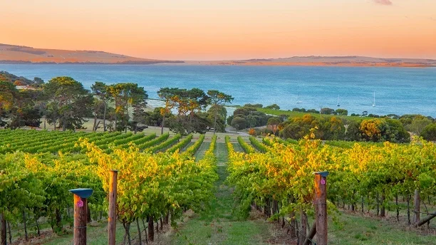 south-australia-86-1-4.jpg.webp