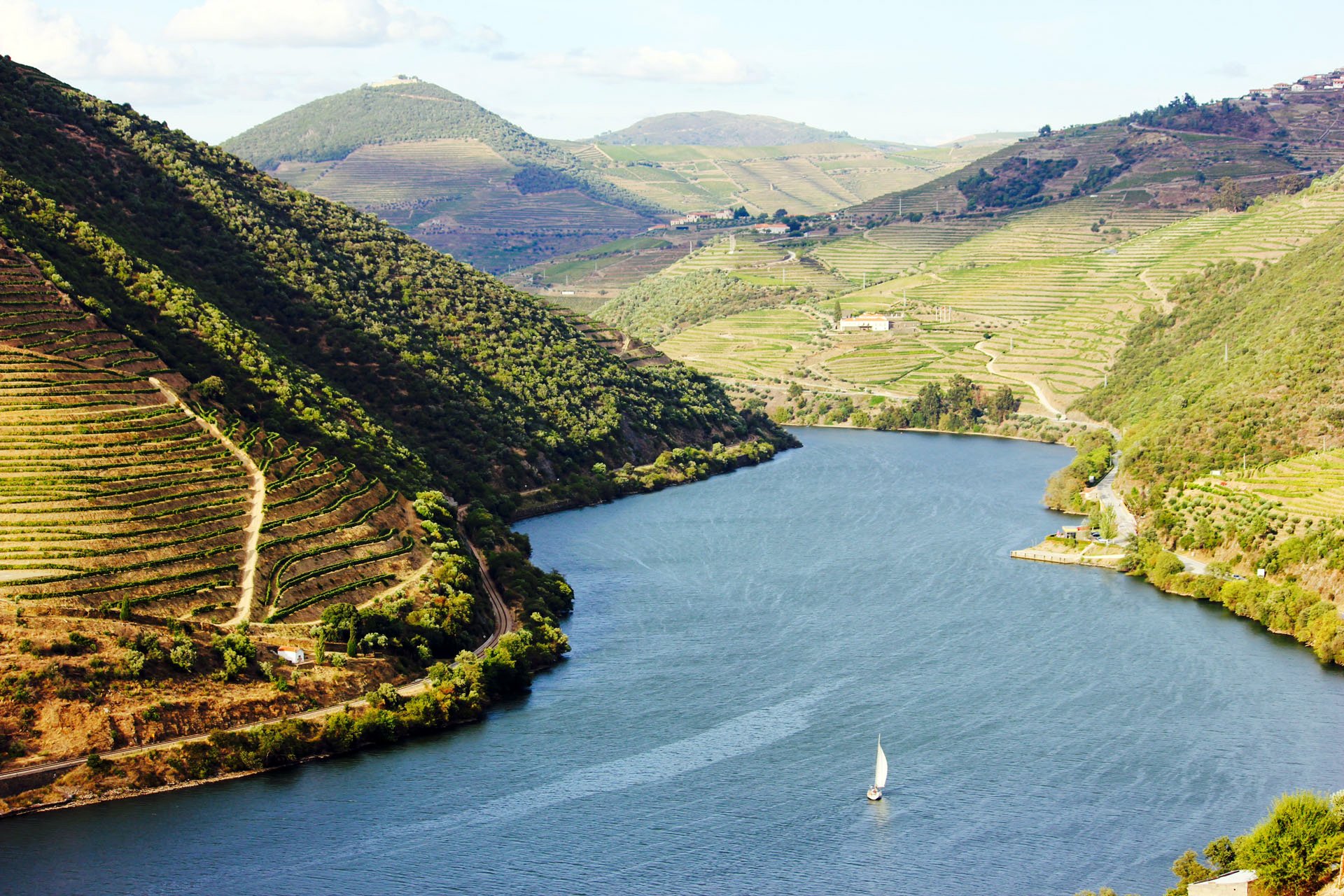 portugal douro  kopiera.jpg