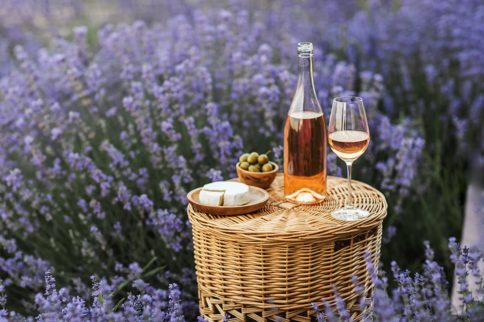 provence-wine-region.jpg