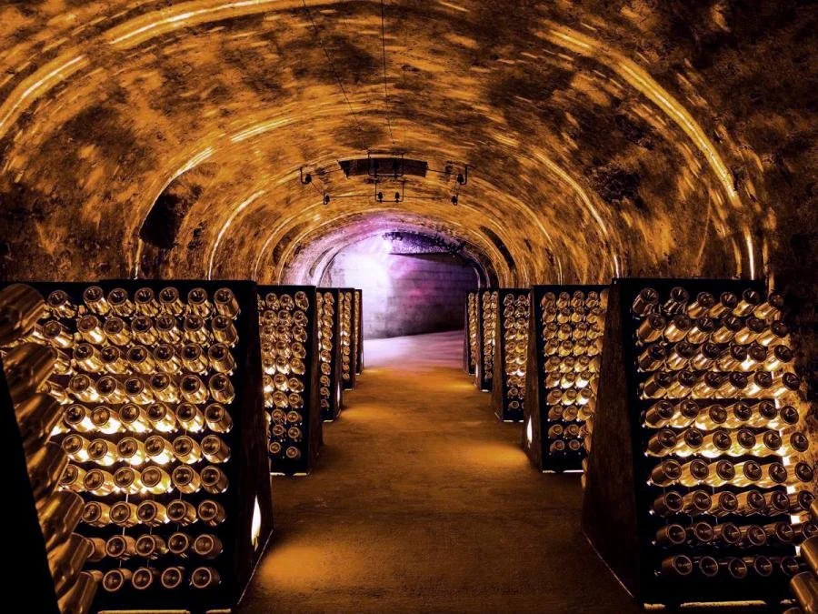 champagne reims_07.jpeg