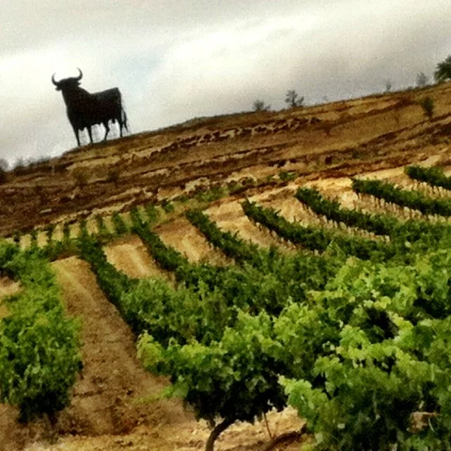 31/10 kl 19 Vinprovning – "¡Hola! Catalunya"