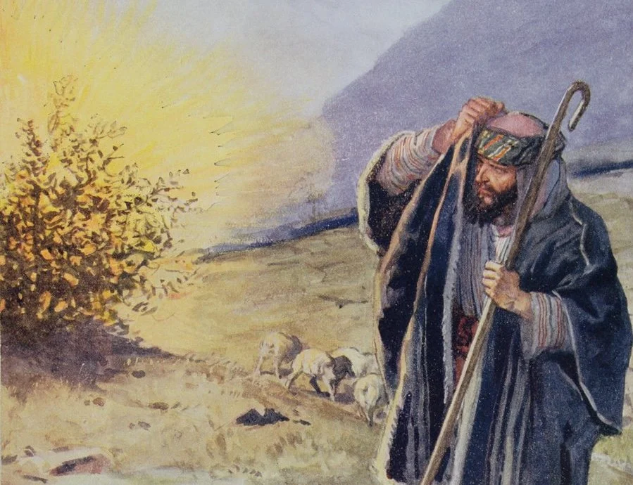 You Shall Not Take the Lord's Name in Vain