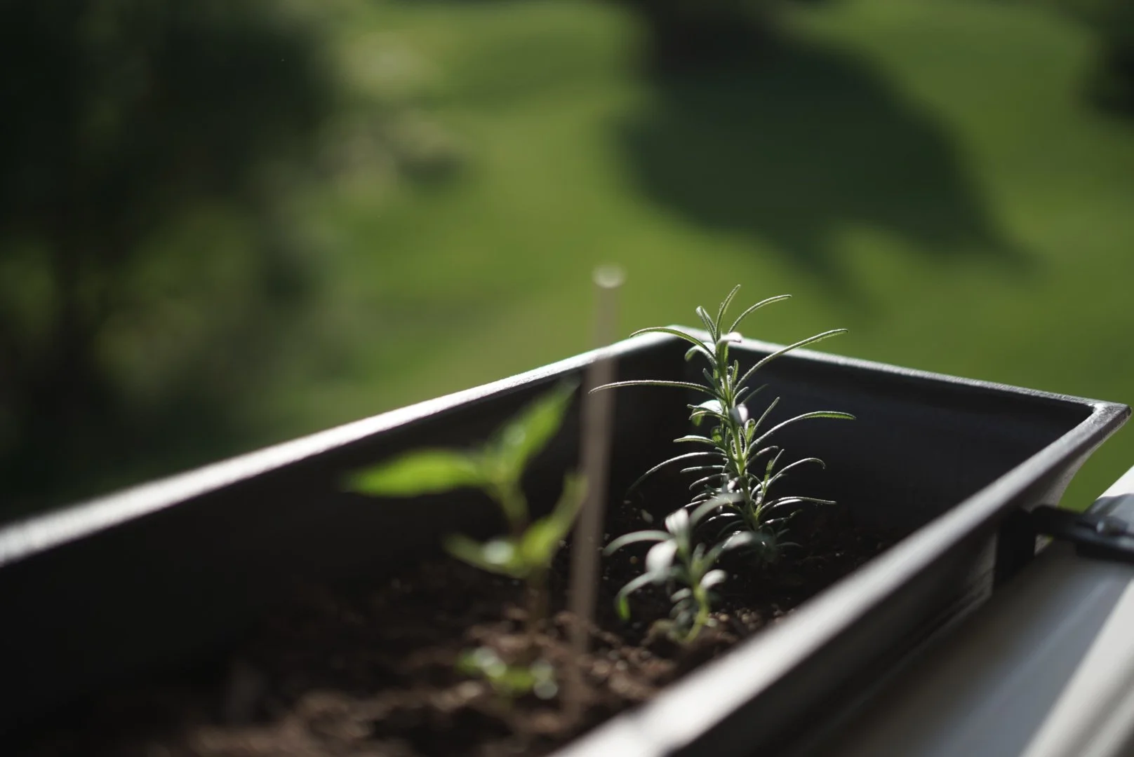 Before the Fall | A Two Pour Spirits Cocktail 