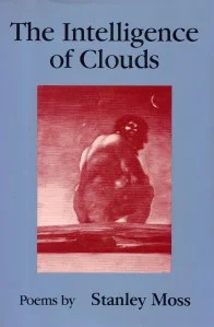the-intelligence-of-clouds.jpg