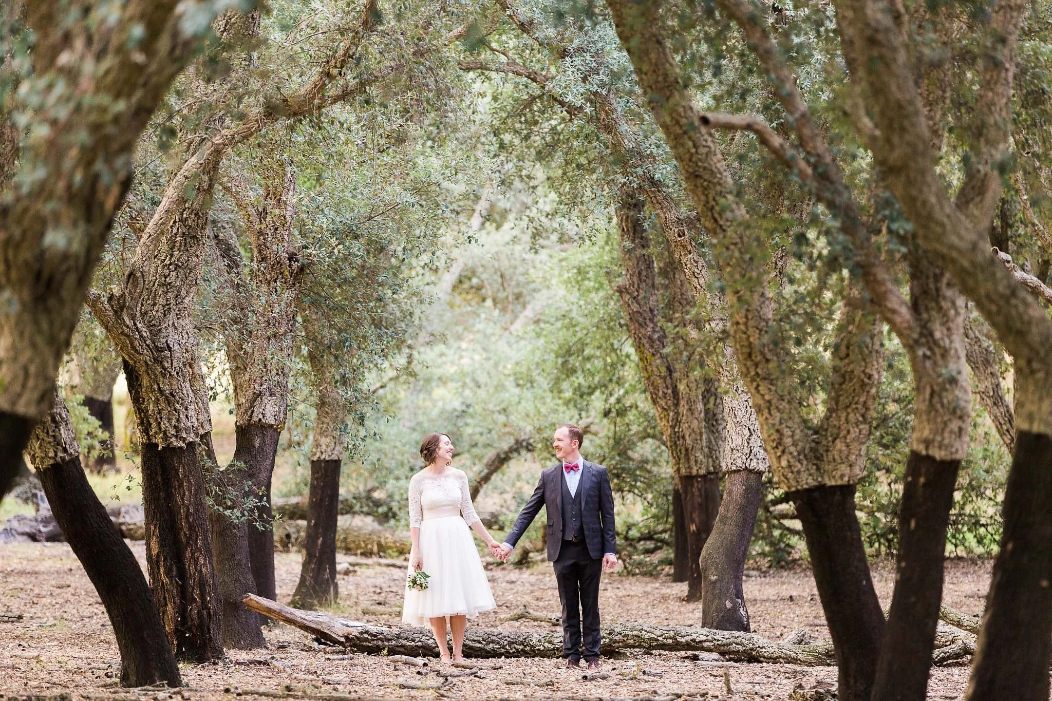 National Arboretum (Cork Forest) Surprise Wedding - Geri and James
