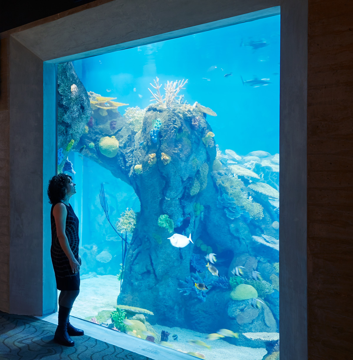 Toledo Zoo & Aquarium — Roto / Lyons Zaremba