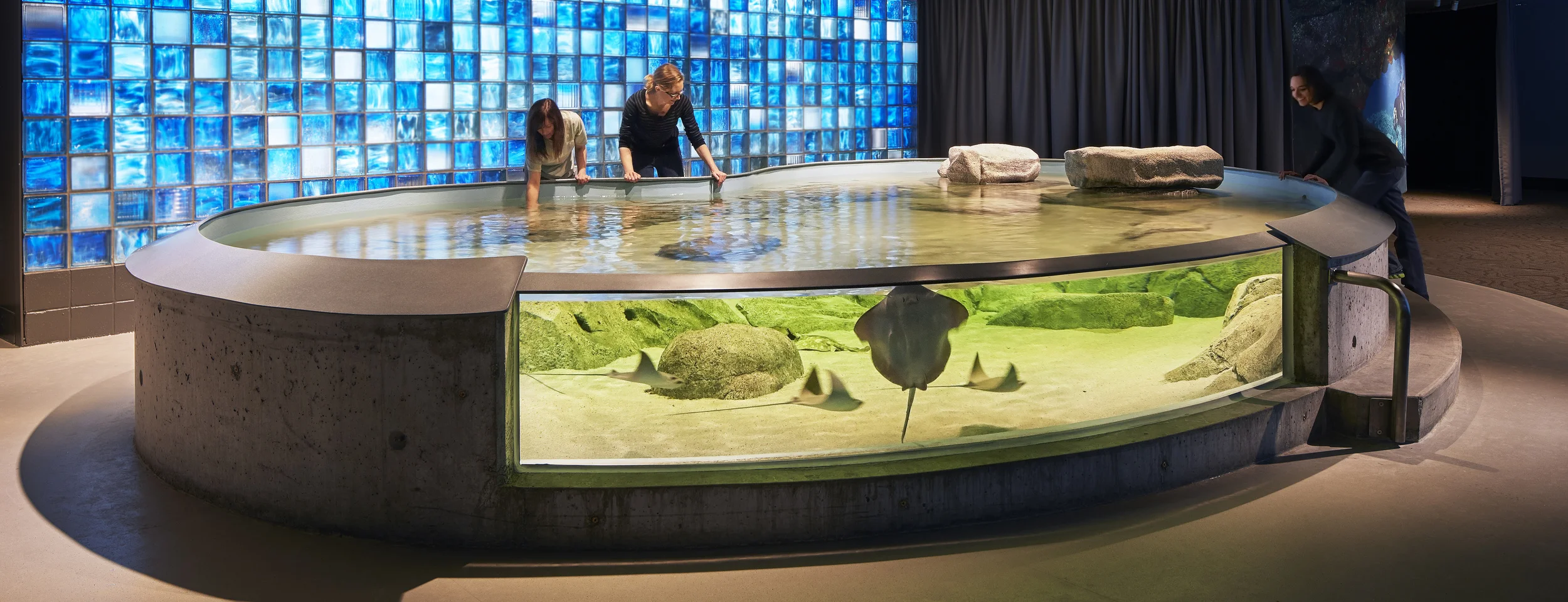 Toledo Zoo & Aquarium — Roto / Lyons Zaremba